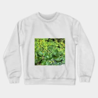 Lilly Pads Crewneck Sweatshirt